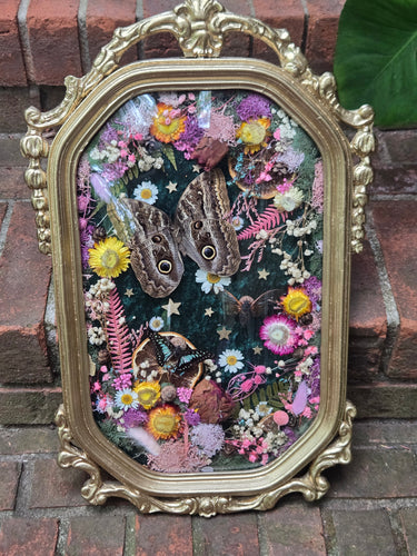 Custom Listing