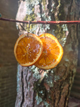 Load image into Gallery viewer, REAL Orange Slice Earrings 🍊
