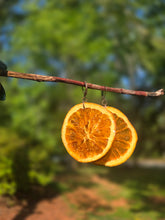 Load image into Gallery viewer, REAL Orange Slice Earrings 🍊