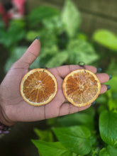 Load image into Gallery viewer, REAL Orange Slice Earrings 🍊