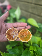 Load image into Gallery viewer, REAL Orange Slice Earrings 🍊