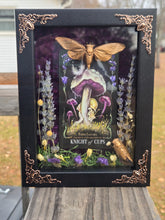 Load image into Gallery viewer, Knight of Cups Brood XIX Cicada 5x7