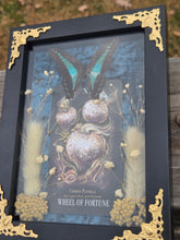 Load image into Gallery viewer, Wheel of Fortune Common Bluebottle