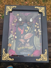 Load image into Gallery viewer, Temperance Papilio Helen&#39;s 5x7