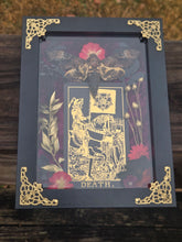 Load image into Gallery viewer, Death: Death Head Hawk Moth 5x7