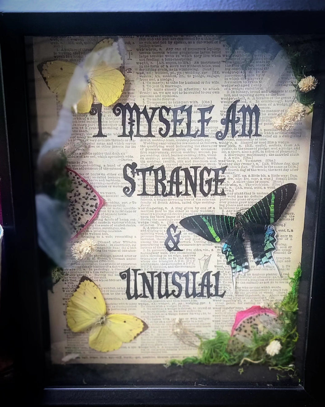 I Myself Am Strange & Unusual Framed Butterfly Art