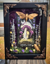 Load image into Gallery viewer, Knight of Cups Brood XIX Cicada 5x7