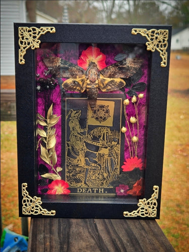 Death: Death Head Hawk Moth 5x7