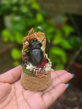 Load image into Gallery viewer, Dung Beetle Jar 🖤