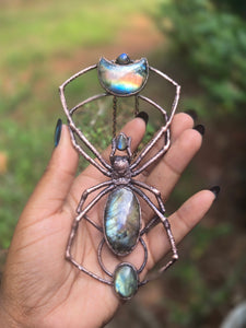 Labradorite Orb Weaver