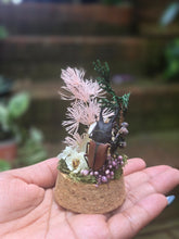 Load image into Gallery viewer, Stag Beetle Jar 🩷