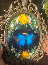 Load image into Gallery viewer, The Gilded Grove