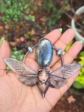 Load image into Gallery viewer, Moss Indigo Kyanite &amp; Moonstone Cicada