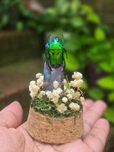 Load image into Gallery viewer, Scarab Beetle Jar 💚