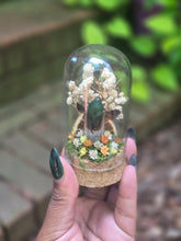 Load image into Gallery viewer, Green June Beetle Jar 🤎