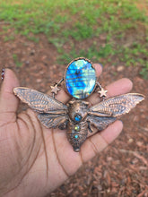 Load image into Gallery viewer, Real Cicada w Labradorite