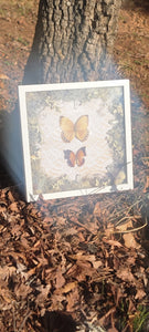 Framed Butterfly w Quartz