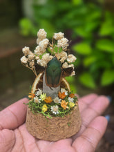 Load image into Gallery viewer, Green June Beetle Jar 🤎