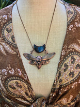 Load image into Gallery viewer, Real Cicada w Blue Labradorites