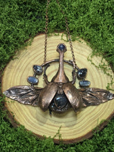 Load image into Gallery viewer, Real Rhinoceros Beetle w Piertersite &amp; Blue Kyanite