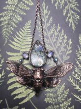 Load image into Gallery viewer, REAL Cicada w Labradorite, Moonstone &amp; Swarovski Crystals