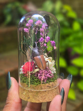 Load image into Gallery viewer, Stag Beetle Jar 💜