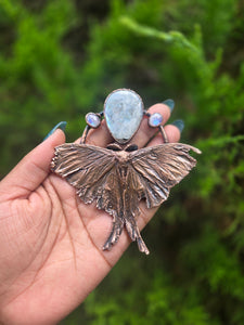 REAL Luna Moth with Rainbow Moonstone