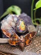 Load image into Gallery viewer, REAL Cicada w Labradorite