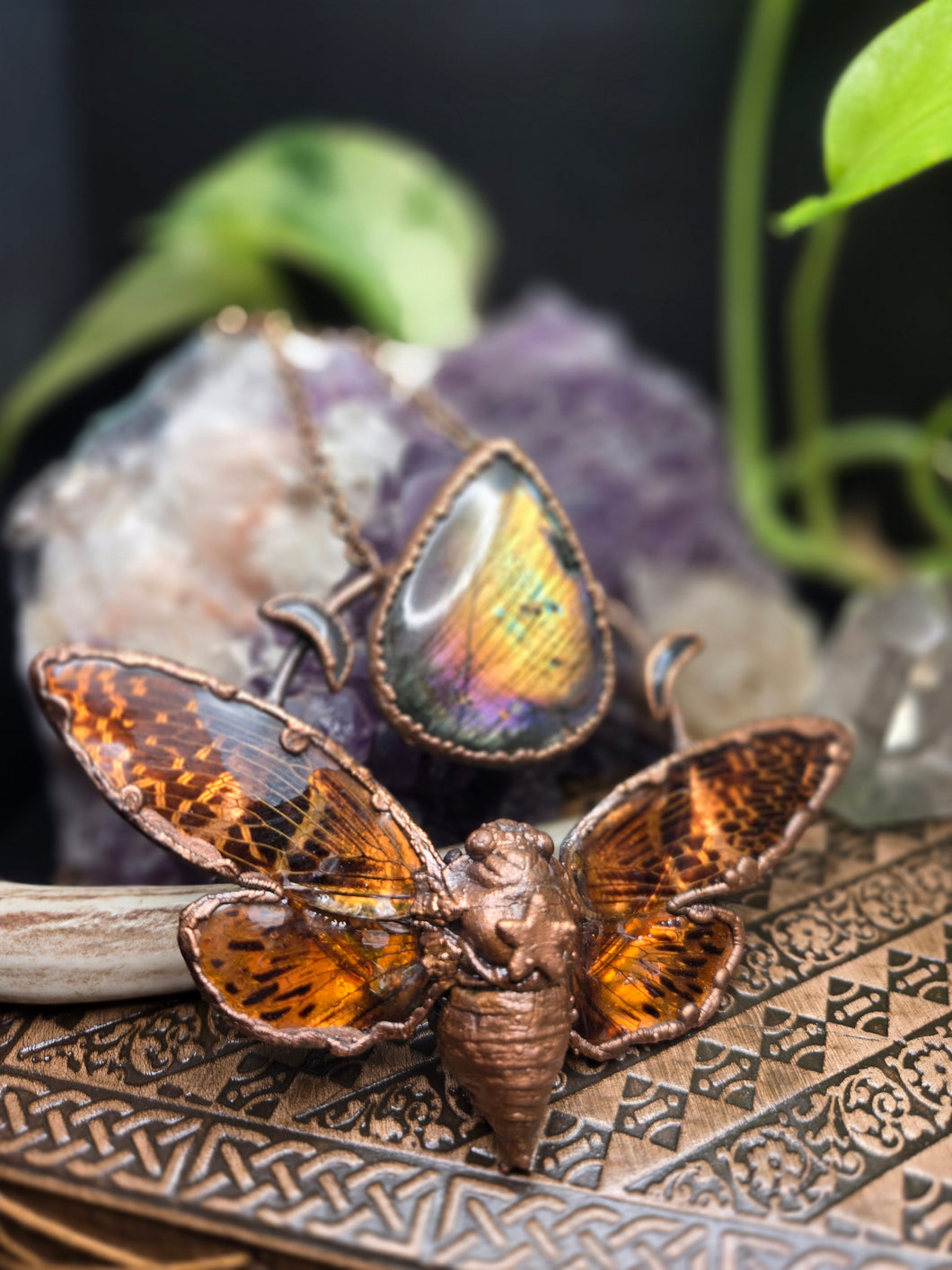 REAL Cicada w Labradorite