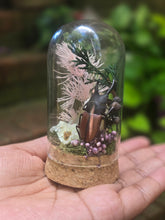 Load image into Gallery viewer, Stag Beetle Jar 🩷