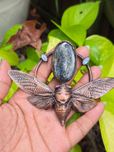 Load image into Gallery viewer, Moss Indigo Kyanite &amp; Moonstone Cicada