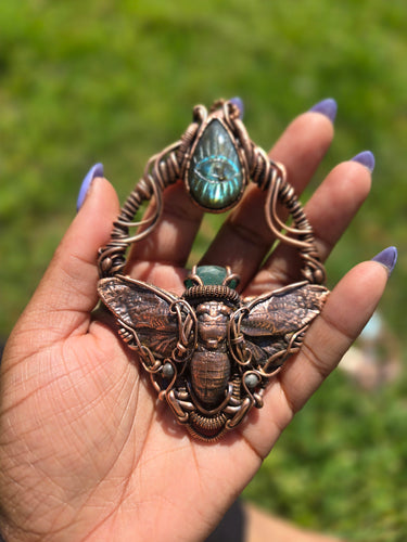 Labradorite Cicada Sequence Collab