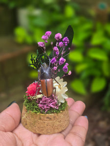 Stag Beetle Jar 💜