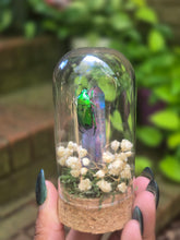 Load image into Gallery viewer, Scarab Beetle Jar 💚
