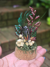 Load image into Gallery viewer, Rainbow Jewel Beetle Jar