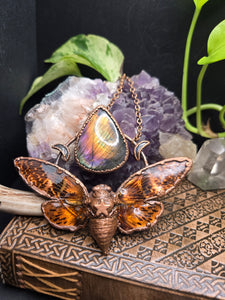 REAL Cicada w Labradorite