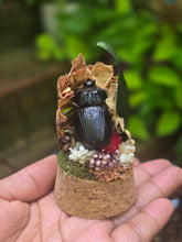 Load image into Gallery viewer, Dung Beetle Jar 🖤
