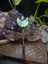 Load image into Gallery viewer, REAL Dragonfly w Labradorite, Moonstone &amp; Blue Kyanite