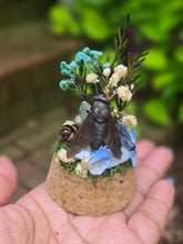 Load image into Gallery viewer, Horse Fly Jar 🩵