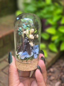Horse Fly Jar 🩵