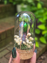 Load image into Gallery viewer, Scarab Beetle Jar 💚