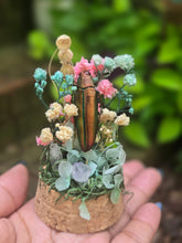 Load image into Gallery viewer, Jewel Beetle Jar 🩵
