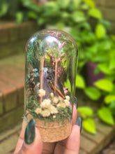 Load image into Gallery viewer, Rainbow Jewel Beetle Jar