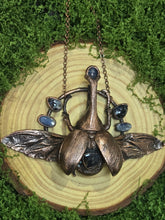 Load image into Gallery viewer, Real Rhinoceros Beetle w Piertersite &amp; Blue Kyanite