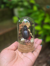Load image into Gallery viewer, Dung Beetle Jar 🖤