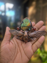 Load image into Gallery viewer, REAL Cicada w Labradorite &amp; Carnelian