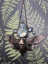 Load image into Gallery viewer, REAL Cicada w Labradorite, Moonstone &amp; Swarovski Crystals