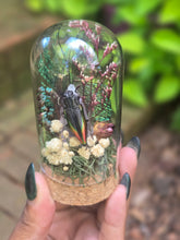Load image into Gallery viewer, Rainbow Jewel Beetle Jar