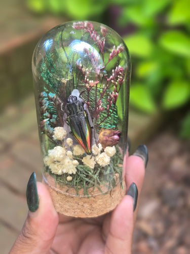 Rainbow Jewel Beetle Jar