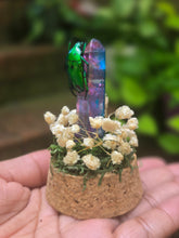 Load image into Gallery viewer, Scarab Beetle Jar 💚